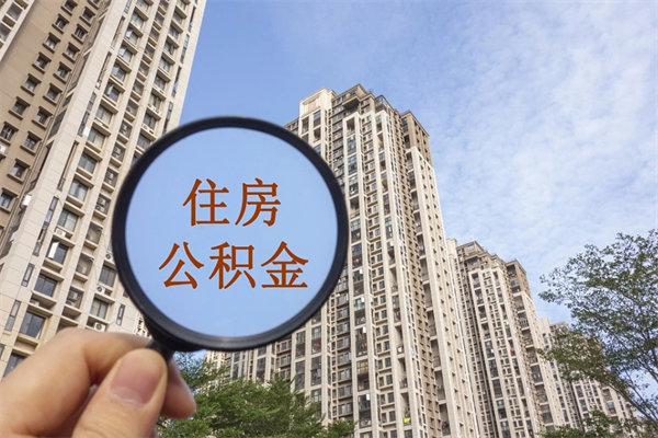 浮梁上海公积金提取咨询（浮梁全国公积金提取线上提取）
